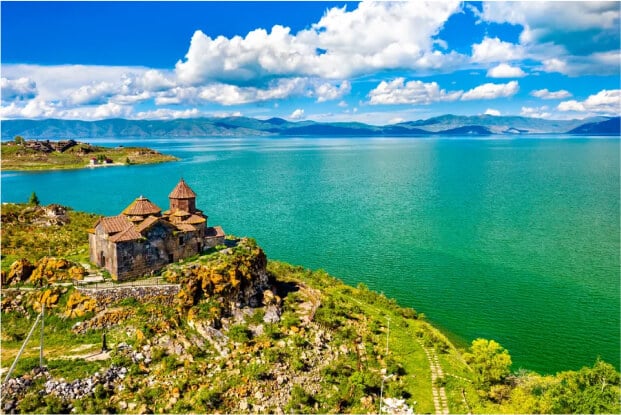 , Black Birds Transport