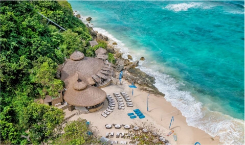 , Black Birds Transport