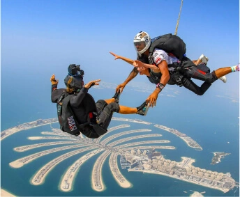 , Black Birds Transport