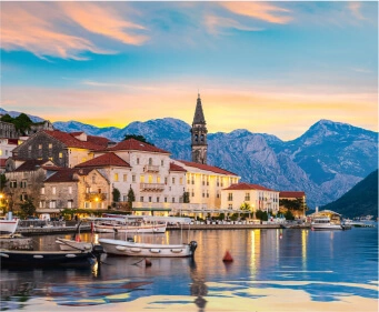 , Black Birds Transport